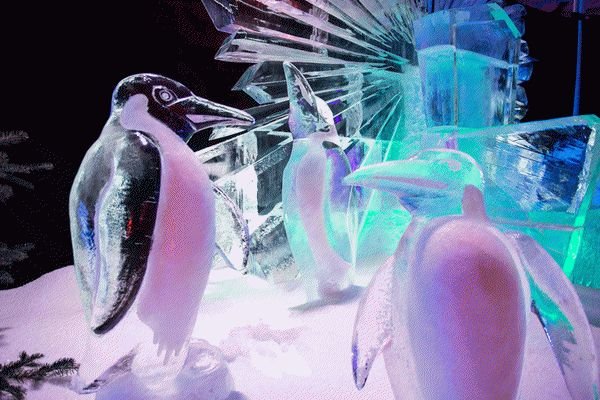 Dresden-Winterwelten